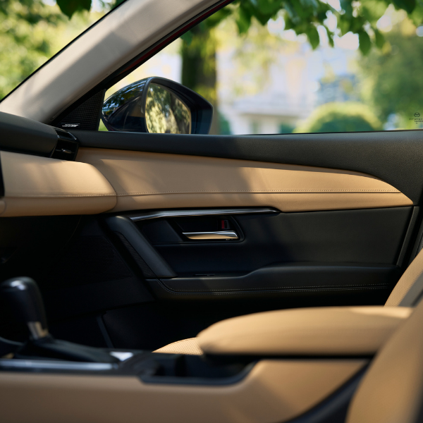 Tan and black interior of a car door with visible side mirror.