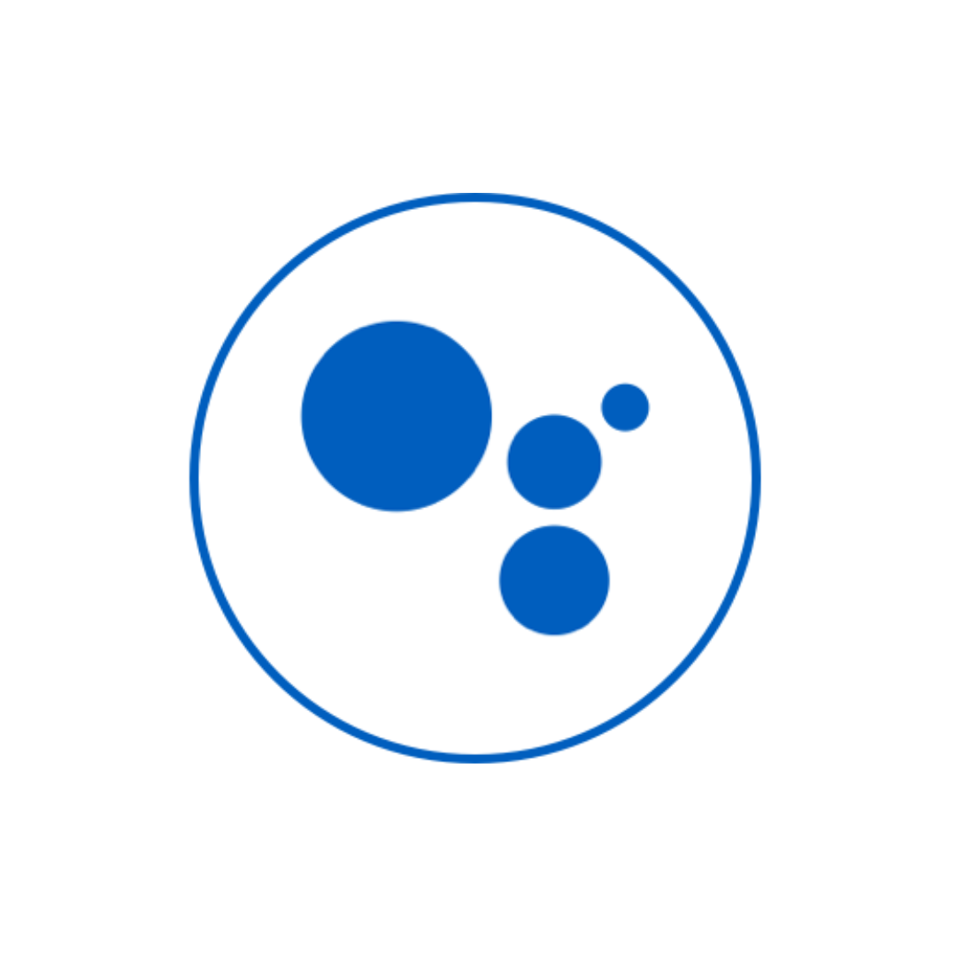 Blue circles of varying sizes within a larger blue circle outline.
