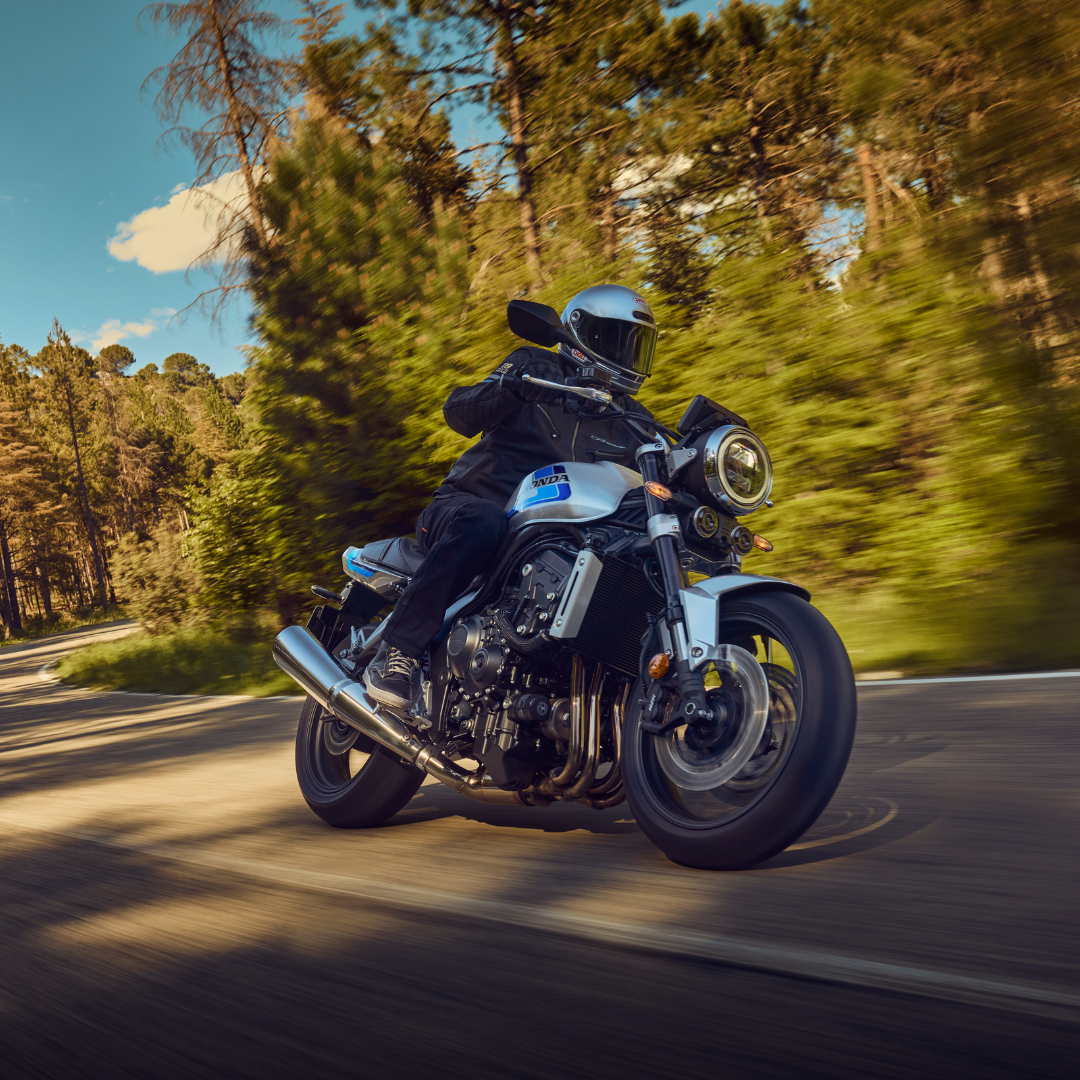 Motorcyclist in black gear riding a white and blue bike on a road with trees.