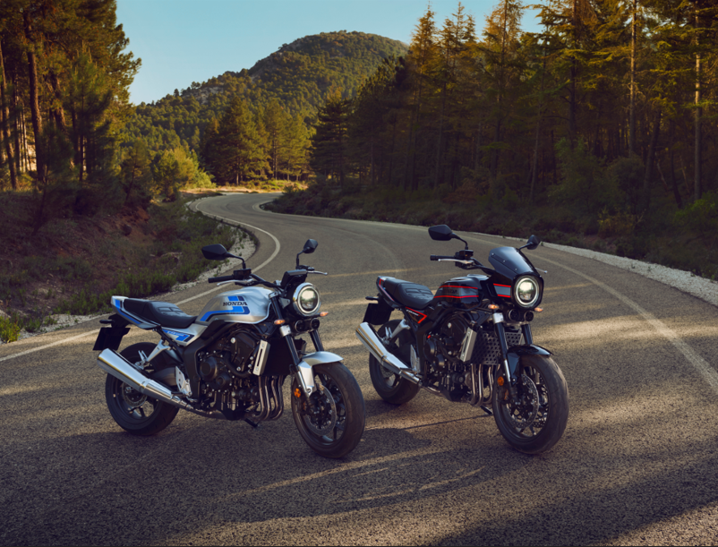 Two motorbikes parked on a winding road in a forest setting.