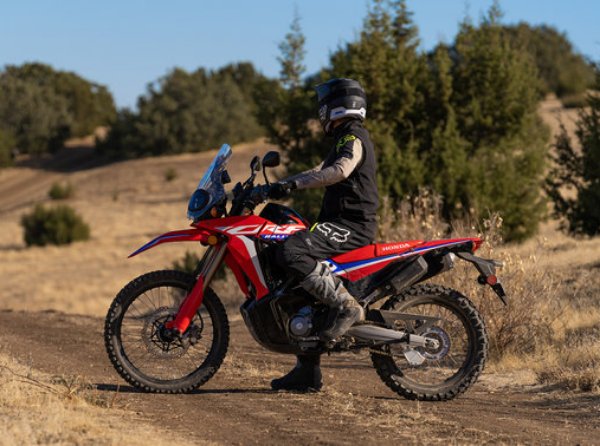 CRF300 Rally