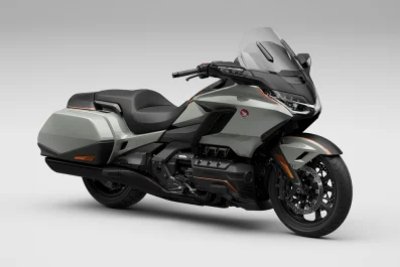 Dual panniers