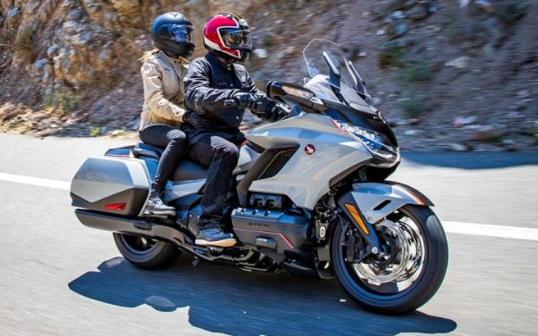 Dual panniers