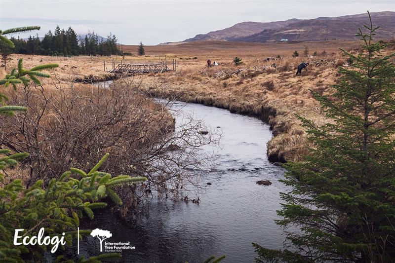 A small river winding through a grassy, tree-lined landscape with distant hills.