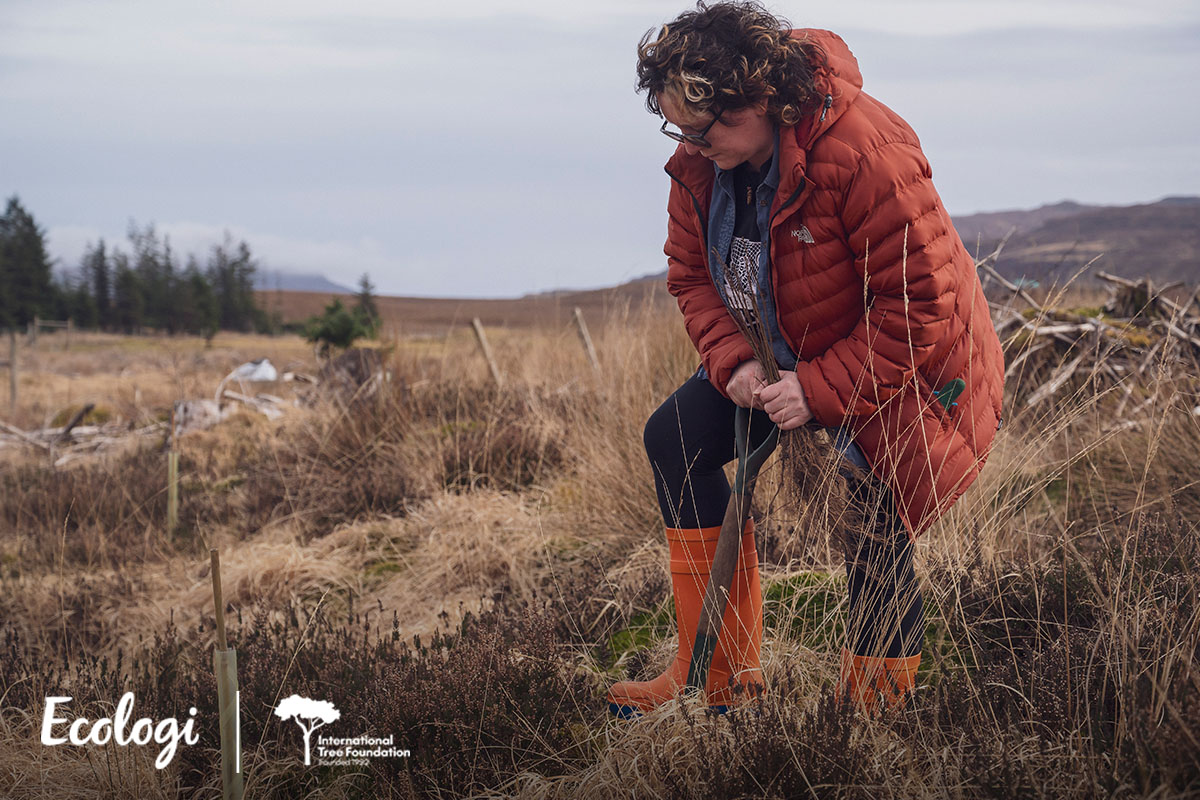 Person in orange coat planting a tree in a field.