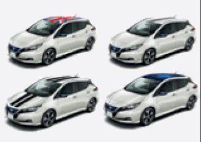 LEAF ROOF WRAPS